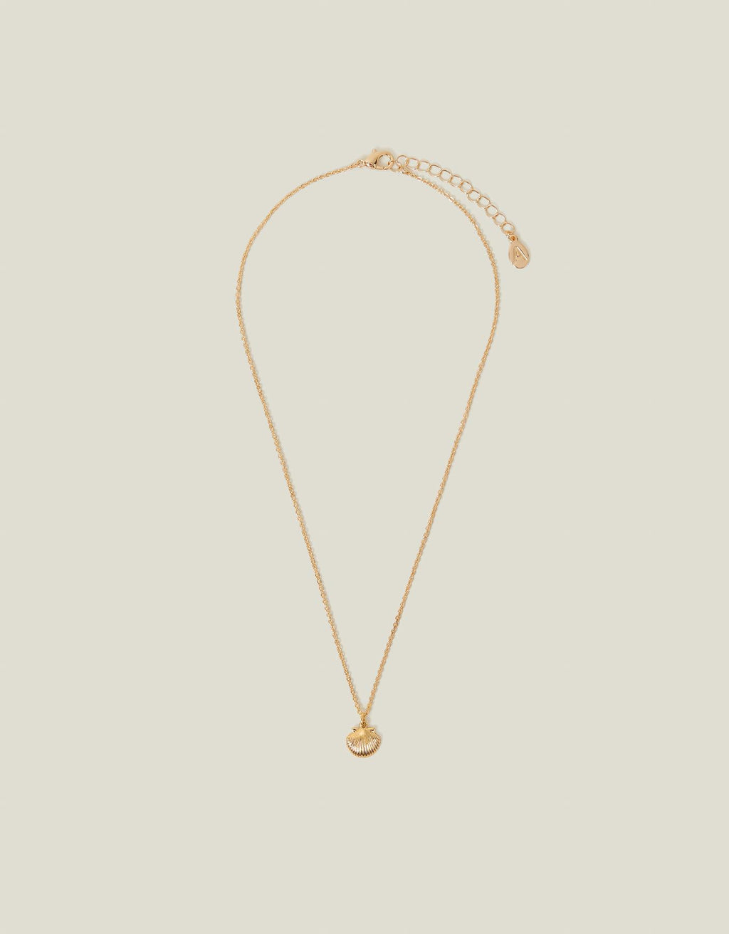 Shell Pendant Necklace