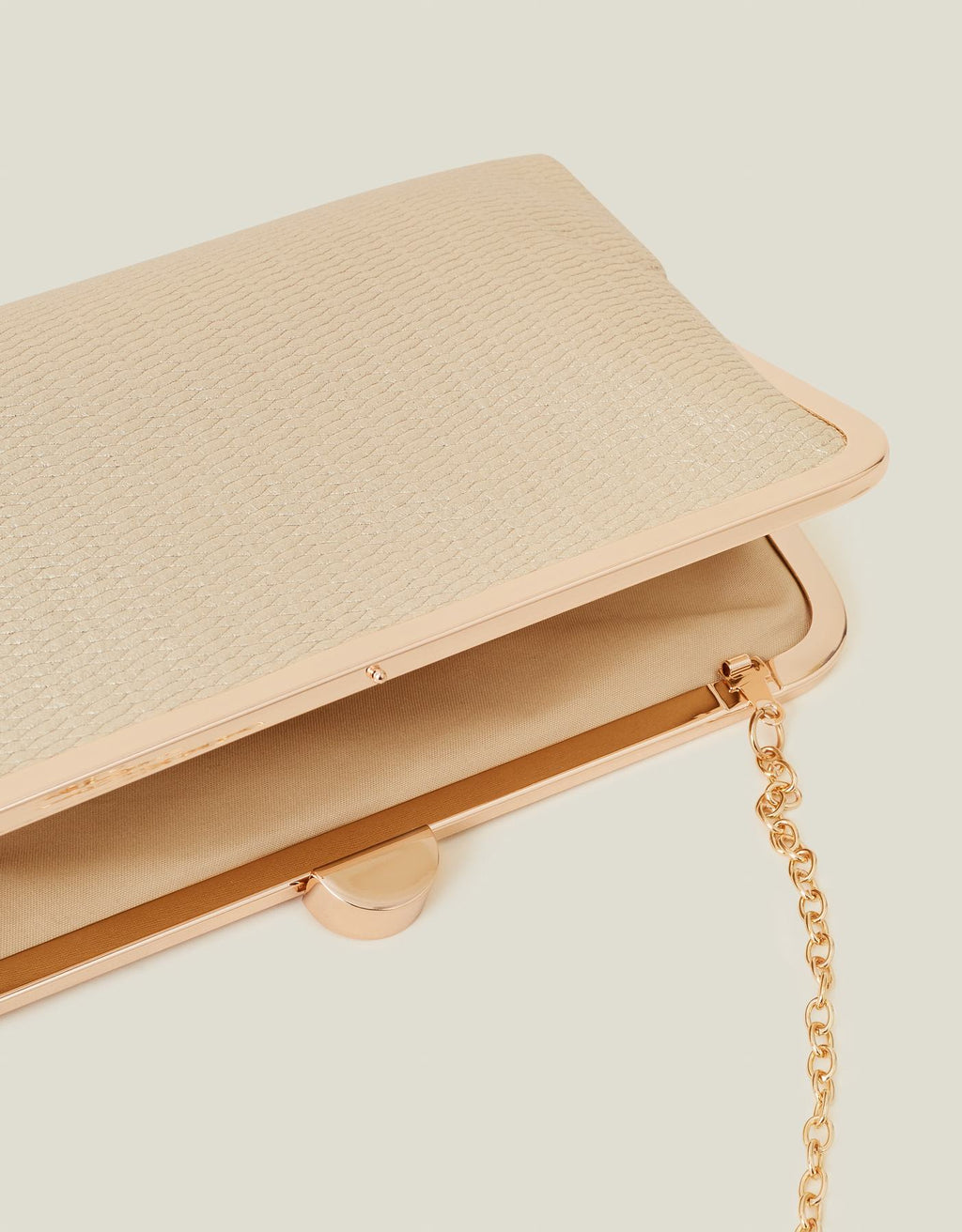 Metallic Clutch Bag
