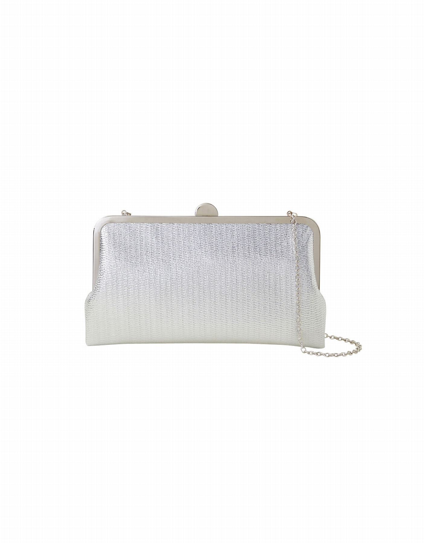 Metallic Clutch Bag
